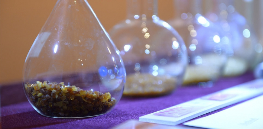 "ZIEMEĻBLĀZMAS SUNDAY SCHOOL OF ARTS", 4TH OCCUPATION "ART AND SCIENCE"